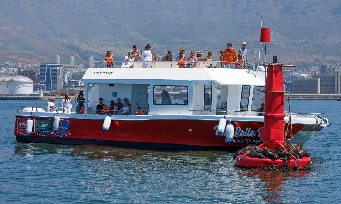 30-Minute Cape Town Harbour Cruise with Waterfront Boat Tours