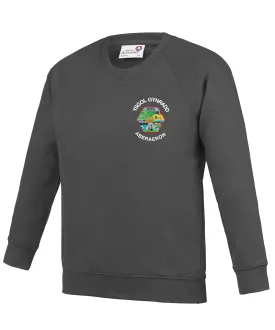 Aberaeron School Jumper