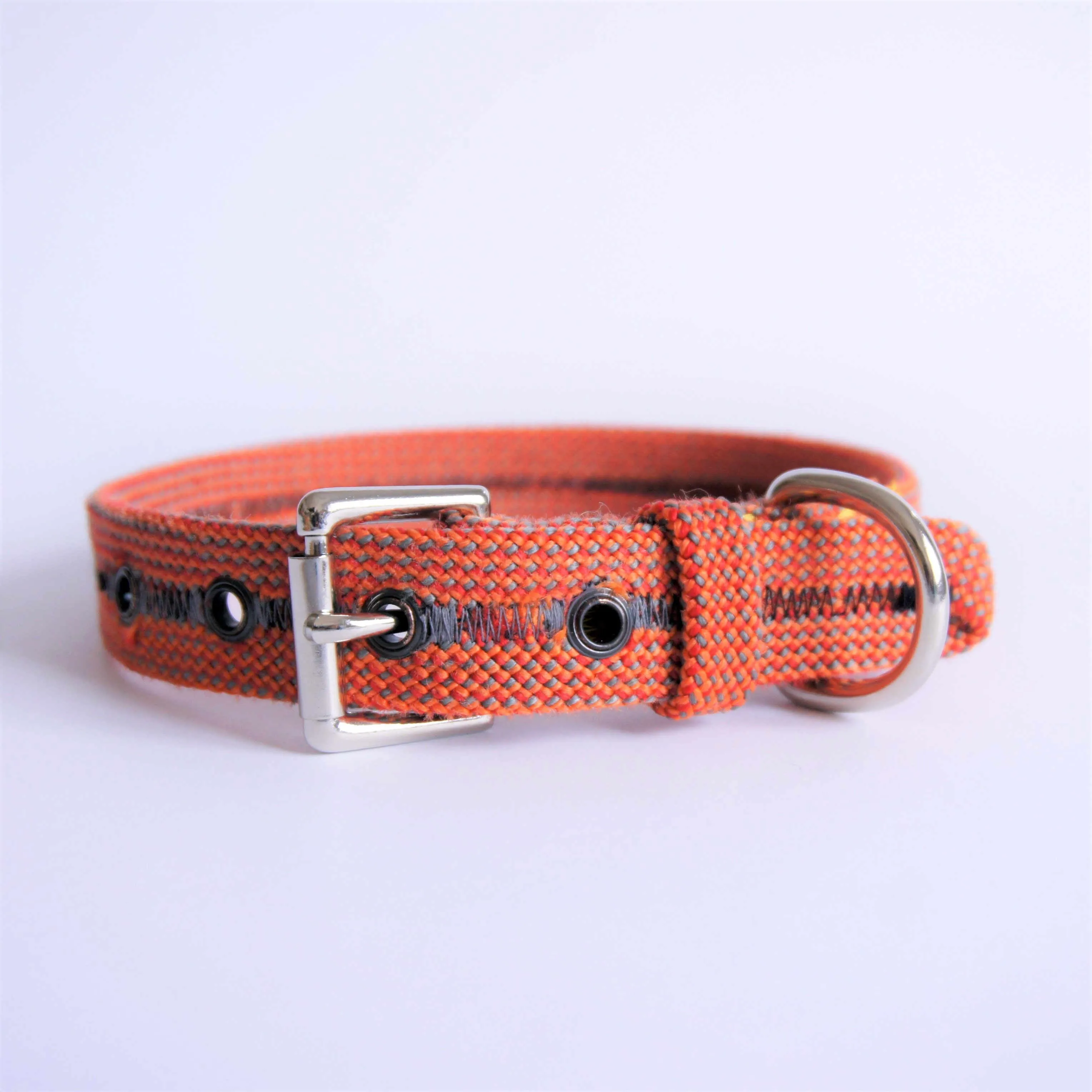 Dog Collar 0032