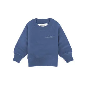 Kids French Terry Sweatshirt French Blue - Unisex