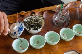 Recording: Pu-erh with Max Falkowitz