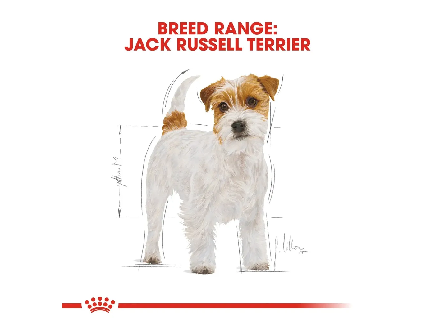 Royal Canin - Jack Russell Terrier Adult - 1.5kg